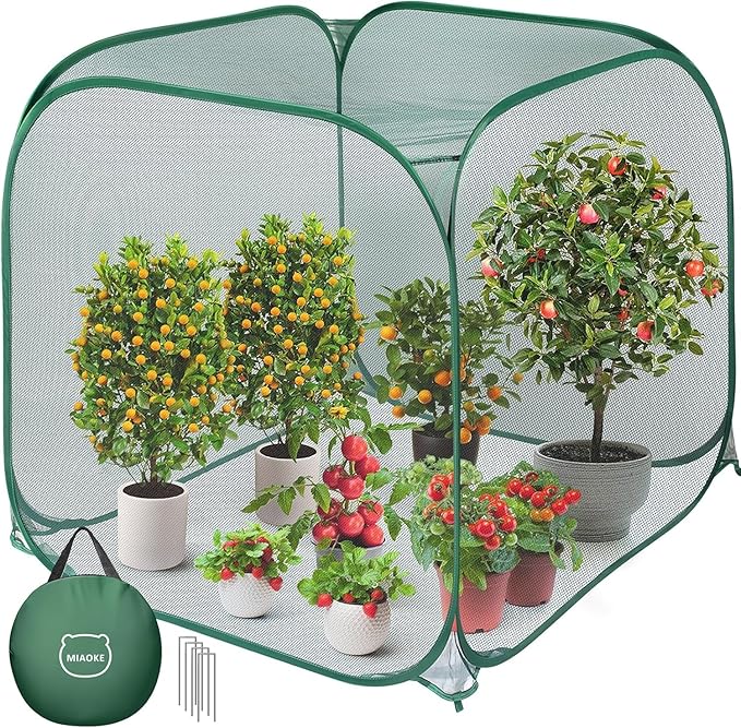 MIAOKE 2 Pack Pop Up Mesh Plant Cover, 35.4x35.4x38.2 Inch No Build Protection Against Insects Garden Netting, Raised Bed Cover for Barrier Against Insects for Vegetable Plant Fruit Animals