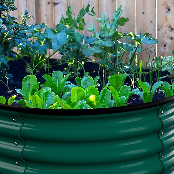 MUPATER 8x2FT Outdoor Raised Garden Bed, 9-in-1 Galvanized Metal Planter Box for Vegetables, 11.1'' H Modular Garden Bed Kit Oval for Herbs and Flowers, Green