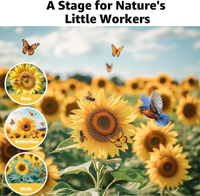 15+ Varieties 5000+ Sunflower Seeds for Planting, 4 Oz Heirloom Sunflower Mix Seeds to Plant (Giant Mammoth, Dwarf) Garden Variety Pack, High Germination, Attracts Pollinators