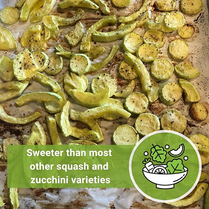 Sow Right Seeds - Tromboncino Rampicante Squash Seeds for Planting - Non-GMO Heirloom Packet with Instructions to Plant a Home Vegetable Garden - Grow Tasty Squash at Home, Great for Cooking