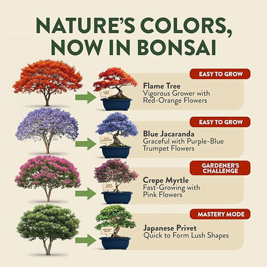 HOME GROWN Bonsai Tree Starter Kit β Unique Christmas Gift for Adults, Men, Women - Grow 4 Bonsais β DIY Crafts Hobby Gardening Kit for Plant Lovers, Mom, Dad - White Elephant Gifts for Adults