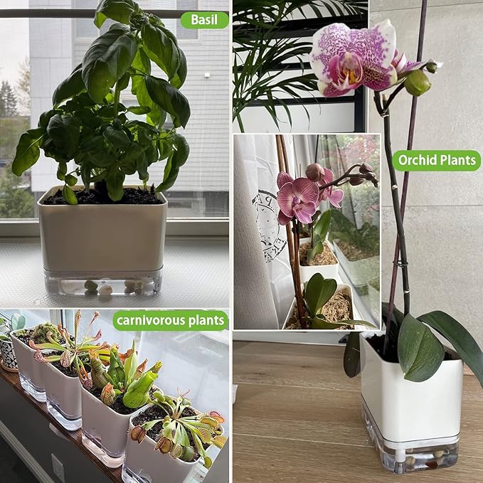 Planterhoma Self Watering Plant Pots for Indoor Plants 7/10 inch, 2 Packs Rectangle Self-Watering Planters with Drainage Hole, White African Violet Pots for Devil's Ivy, Spider Plant, Orchid, Herb