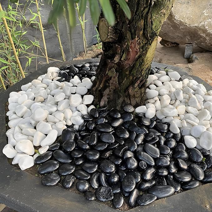 5 lbs Black River Rocks for Plants, 2-3 inch Large Pebbles for Plants Indoor. Decorative Stones for Planters Vase Fillers Aquarium Fish Tank and Outdoor Garden Landscaping