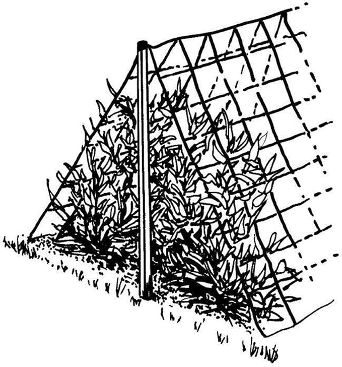 Luster Leaf 869 Vine and Veggie Trellis Net, Green, 5-Feet by 30-Feet