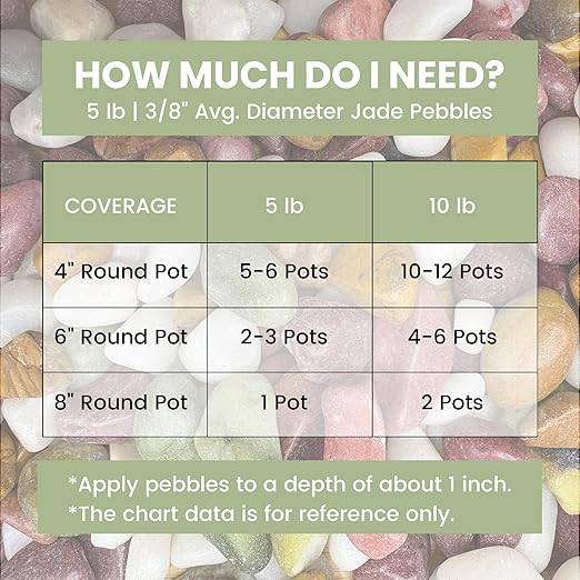 SIDONG 5 LB Natural Gravel Pebbles, 2/5 Inch Small Pea Gravel Stones, Decorative River Rocks for Succulents, Aquariums, Vases, Indoor Plants, Garden Landscaping, DIY