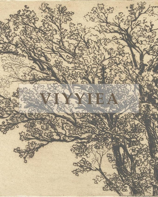 VIYYIEA Extra Large Canvas Wall Art 36x54 Inch Vintage Tree Sketch Landscape Hanging Scroll, Rustic Nature Wall Decor Oversized Artwork for Living Room Bedroom Above Sofa