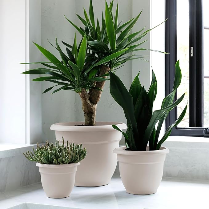 Bloem Ariana 6" Vanilla Bean Round Self-Watering Resin Planter Pot - Rolled Rim Indoor and Outdoor Gardening Planter