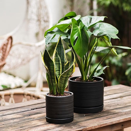 HERDUK 6 + 8 Inch Plant Pots, Ceramic Planter Pot with Drainage Hole & Saucer, Indoor/Outdoor Cylinder Round Planter Pot, Matte Black