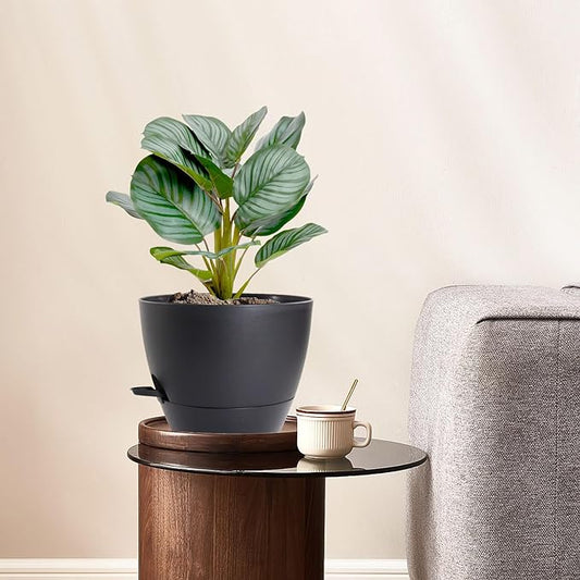 8 inch Self Watering Pots, 2 Pack Plastic Planters with Mesh Drainage Holes for Garden Plants and Flower, Plants Pots with Deep Reservoir for Indoor Outdoor Plants, Black