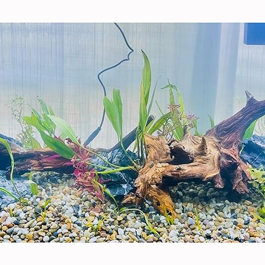 CJGQ 18lb 1/4/'' Polished Pebbles for Plants Potting,Succulents Aquarium Fish Tank Vases-Decorative River Rocks Garden Gravel Stones