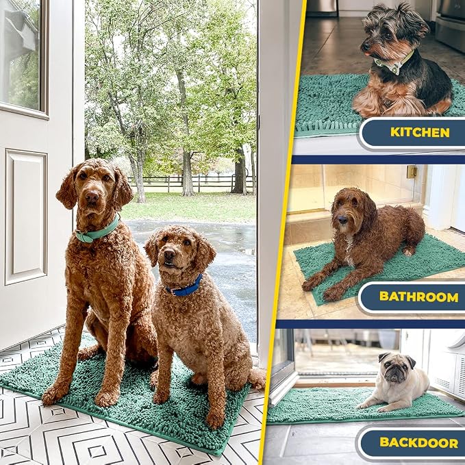 Muddy Mat® | Super Water Absorbent Door Mat Indoor, Microfiber Quick Dry Chenille Entryway Rug,Slip Resistant Front Door Mat,Indoor Mats for Entryway,Machine Washable Pet Rug, Seafoam Green 30"x19"