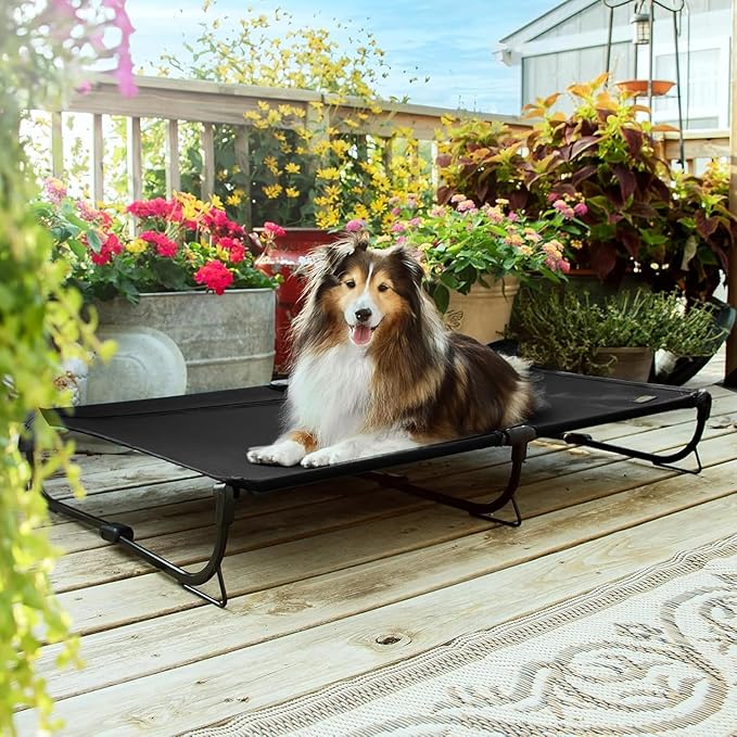 CANINE CANYON Folding Raised Dog Cot, Large Outdoor Elevated Dog Bed, Cooling Chew Proof Pet Cots Bed, Portable, Heavy Duty Up to 160 lbs, Pet Cot for Camping, Home, Black, 43"x27"x7"