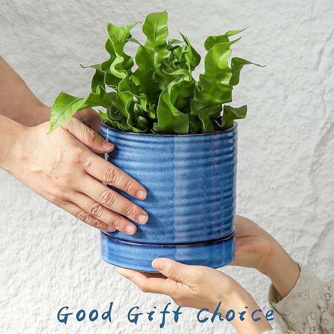HASENSE Plant Pot, 6 Inch Ceramic Kitchen Garden Pot for Plant with Drainage Hole and Tray, Indoor/Outdoor Succulent Herb Planter, Modern Blue Home Office Decorative Gifts