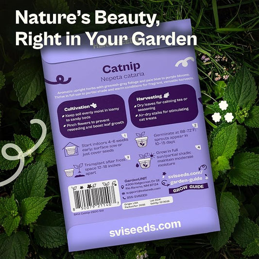 SVI 2500 Catnip Seeds (Nepeta cataria) – Catmint, Best Catnip for Cats Seed Packets, Heirloom Cat Nip Herb Seeds – Outdoor & Indoor Herb Garden, Containers, Herbs Beds