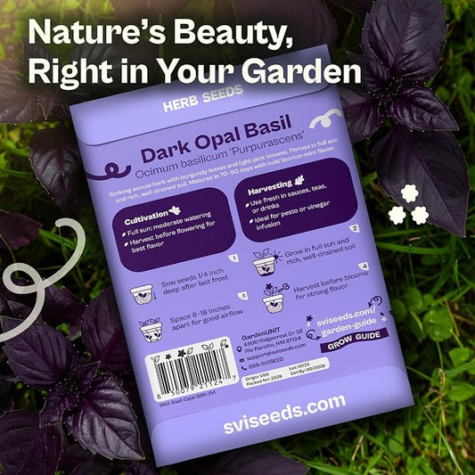 SVI 600 Dark Opal Basil Seeds (Ocimum basilicum) – Purple Sweet Basil Seed Packets –Non GMO Heirloom Herb Seeds, Aromatic Natural Herbs for Containers, Outdoor & Indoor Herb Garden