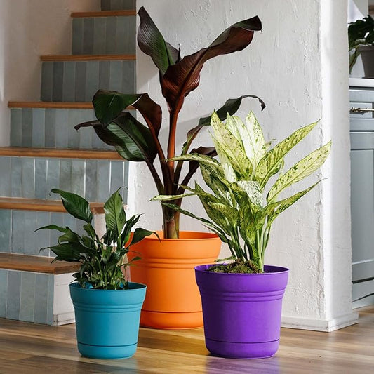 Bloem Saturn 12" Royal Lilac Round Resin Planter Pot with Snap-in Saucer for Indoor and Outdoor Gardening