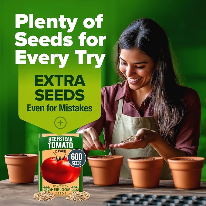 HOME GROWN Beefsteak Tomato Seeds 600+ Heirloom Non-GMO Seeds for Planting, High Germination, Indeterminate Extra Large Meaty Slicing Tomato,Prolific Garden Crop, Sandwich Ready (Solanum lycopersicum)