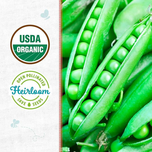 Back to The Roots 100% Organic Seed Packet - Pea 'Green Arrow' 8.4g
