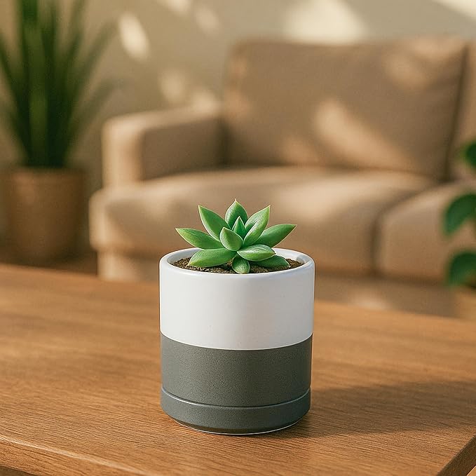 D'vine Dev Set of 2 Plants Pots, 3.5 Inch Ceramic Planter Pot for Plants with Drainage Hole and Saucer, White/Speckled Grey, 94-V-A-6