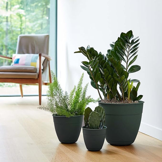 Bloem Dayton 8" Turtle Green Recyled Plastic Planter Pot with Drainage Holes and Removable Saucer for Indoor and Outdoor Gardening