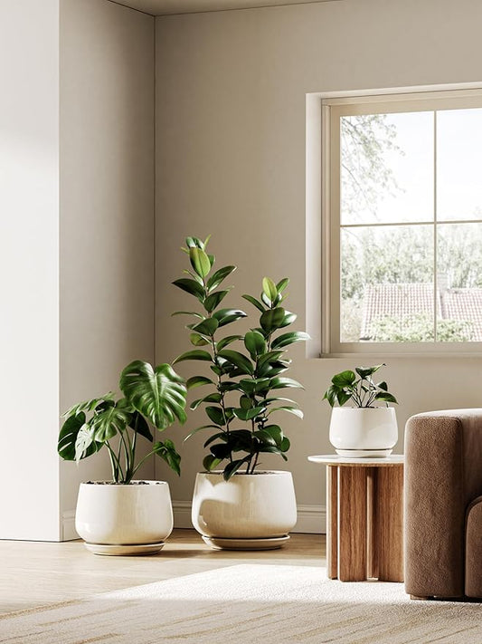 LE TAUCI 12 Inch Pots for Plants, Ceramic Planter with Drainage Hole & Saucer, Thick-Walled Ceramic, Planters for Indoor Plants, Ideal for Living Room & Entryway, Reactive Glaze Beige