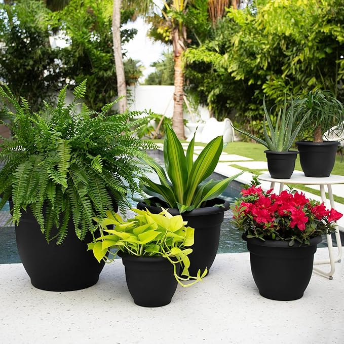Bloem Ariana Pot Planter: 12" - Black - Durable Resin Pot, For Indoor and Outdoor Use, Gardening, Self Watering Disk Included, 3 Gallon Capacity