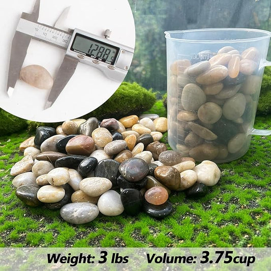 Pebbles for Plants 3 lb Natural Garden Decorative Stone Outdoor Aquariums Gravel 1-1.5 Inches