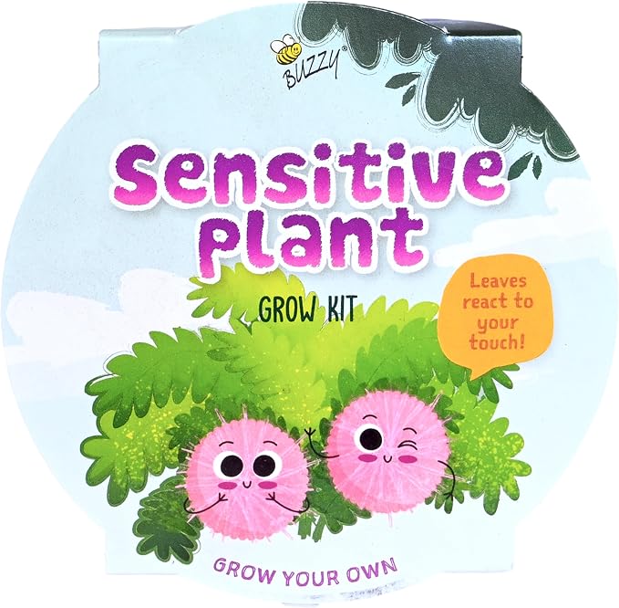 BUZZY Seeds Sensitive Plant Grow Kit – Mini Basin Touch Reactive Plant Starter Set with Moving Leaves, Indoor Gardening Gift and DIY Home Project
