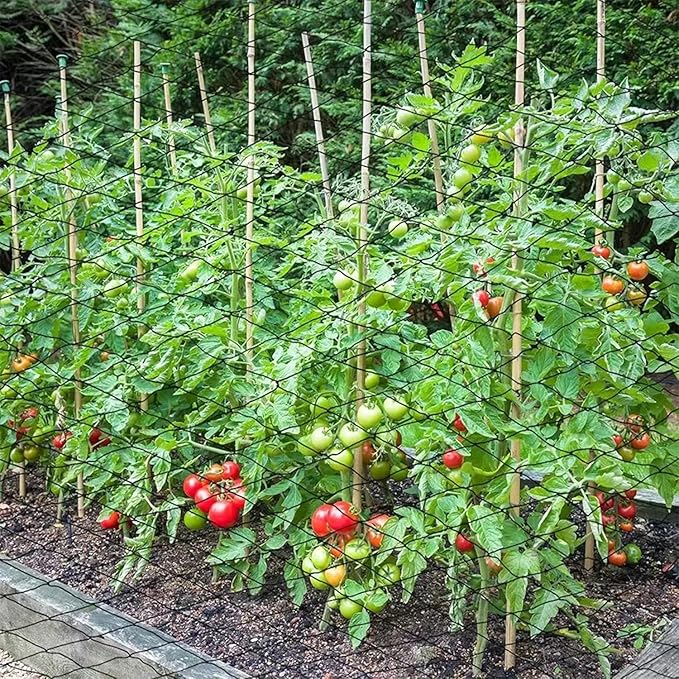 12 x 50 FT Bird Netting for Garden, 1" Square Mesh Size Heavy Duty Nylon Chicken Coop Netting for Blueberry Bushes, Fruit Trees and Vegetable Against Birds, Deer, Squirrels (12X50FT)