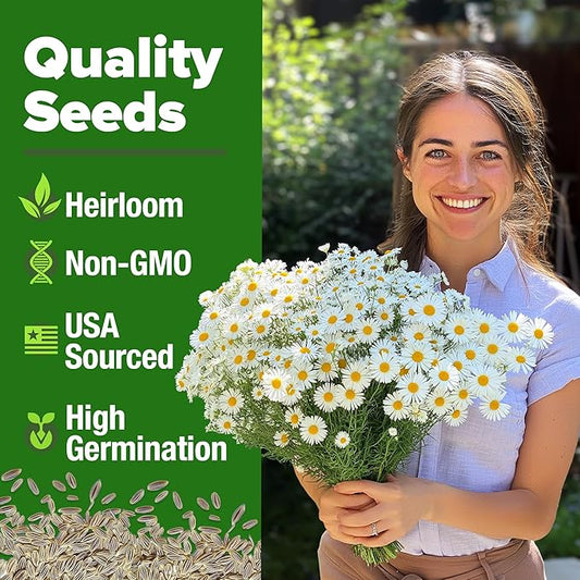 HOME GROWN German Chamomile Seed Pack 2,280 Non GMO Heirloom Seeds for Planting for Sustainable Gardens and Soothing Medicinal Herbal Teas (Matricaria chamomilla)