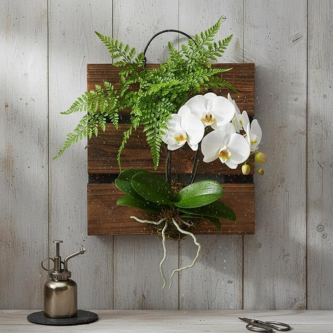 Staghorn Fern Mounting Board Kit Wooden Wall Planter Hanging Plant Holder for Vertical Plant,Platycerium,Orchids,Succulents(Square)