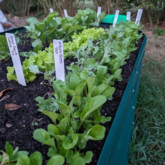 1 Pack 8x3x2FT Galvanized Raised Garden Bed Kit Oval Metal Ground Planter Box Outdoor Bottomless Planter Raised Beds for Vegetables Flowers Herbs Fruits, Green