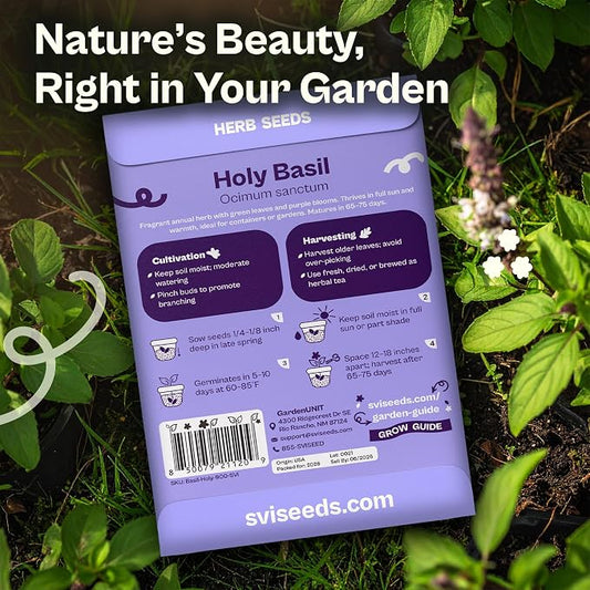 SVI 900 Holy Basil Seeds (Ocimum Sanctum) – Sacred Krishna Tulsi Seed Packets, Fragrant, Edible Basil – Non GMO Heirloom Herb Seeds for Outdoor & Indoor Herb Garden