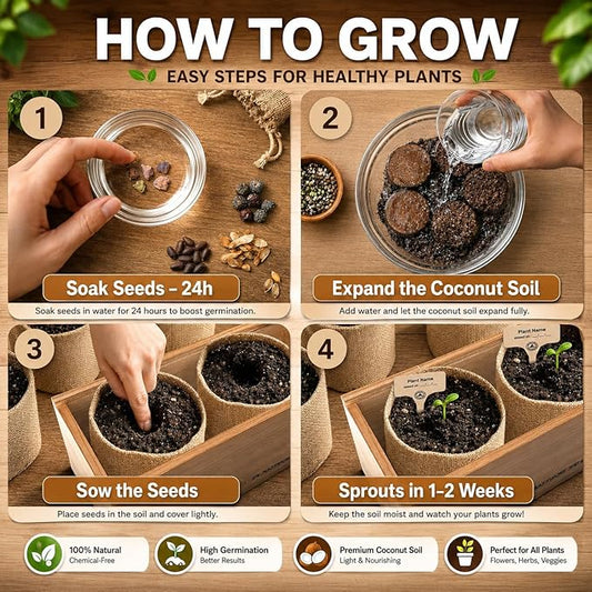 Bonsai Tree Starter Kit for Beginners - 5 Unique Japanese Bonzai Tree Seeds, Complete Indoor DIY Growing Kit, Perfect Gardening Gift for Adults, Men & Women
