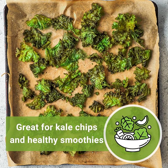 Sow Right Seeds - Dwarf Siberian Improved Kale Seed for Planting - Non-GMO Heirloom Packet with Instructions to Plant a Home Vegetable Garden - Very Nutritious Superfood - Classic Variety (2)