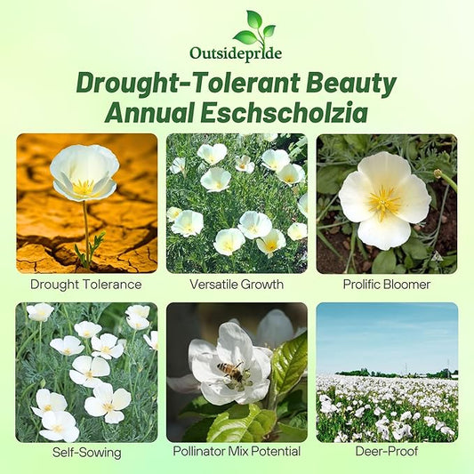 Outsidepride White Linen California Poppy Seeds - 5000 Pcs Annual, Low Maintenance & Drought Tolerant Wildflower Seeds for Planting Vibrant Spring Blooms for Pollinator Gardens & Wildlife Habitats