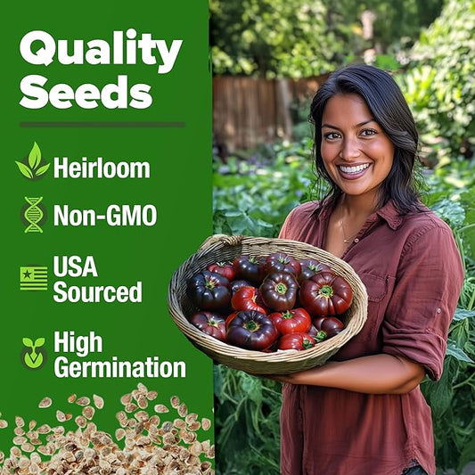 HOME GROWN Cherokee Purple Tomato Seeds 212+ Heirloom Non-GMO Seeds for Planting, High Germination, Indeterminate Beefsteak, Rich Smoky Flavor, Slicing Tomato for Garden (Solanum lycopersicum)