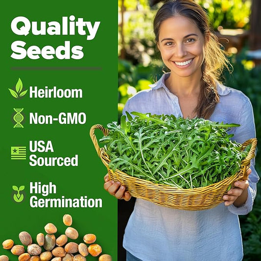 HOME GROWN Arugula Roquette Seeds 4350+ Bulk Pack Heirloom Non-GMO, High Germination, Peppery Salad Greens, Indoor Outdoor Hydroponic Garden, Microgreens, Year-Round Harvest (Eruca vesicaria)