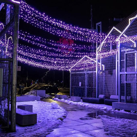 Selarlyt Solar String Lights for Outside, 72Ft 200 LED Solar Fairy Lights with 8 Modes, Solar Powered Fairy Lights Waterproof for Waterproof for Christmas Tree Garden Party Wedding Decor.(Purple)