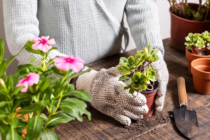 5Pcs Succulent Tools, Mini Garden Tools,Plant Potting Mat as Plant Accessories,Succulent Gardending Hand Tools Kit for Seedling Soil,Caring Succulent,etc,Gifts for Woman’s Gardening work(No Flowerpot)