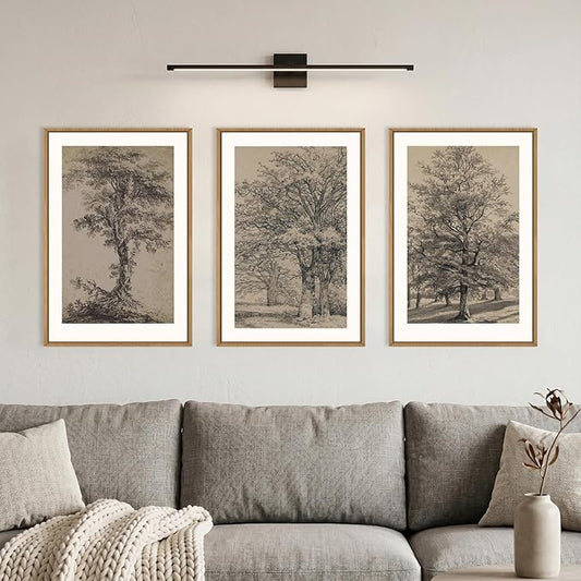 KAIRNE Vintage Tree Sketch Framed Canvas Wall Art Set, Antique Tree Drawings Wall Decor, Retro Forest Art Prints, Modern Nature Landscape Artwork for Living Room, Bedroom, Farmhouse, Office-24 x36 x3
