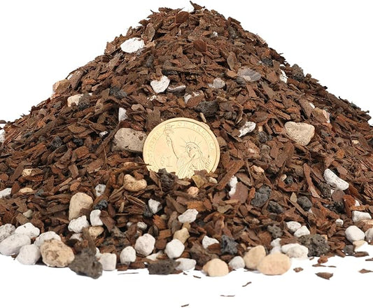 Doter Bonsai Soil Mix Ready to Use (4qt), Premium Fast Draining Organic All Purpose Potting Mix for All Varieties of Bonsai