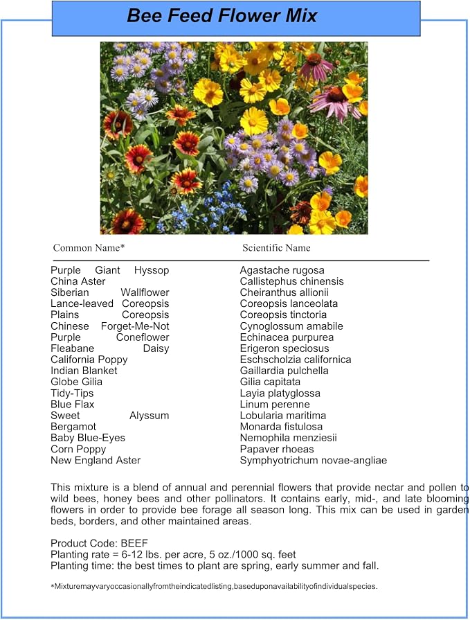 Bulk Wildflower Seed Mix – Honey Bee Wildflower Seed Mix 1 Pound Tub by GevaGrow | Bulk 300,000+ Seed Tub | 19 Variety Flower Seeds for Planting in Pots & Outdoor Gardens | No Messy Bags or Packets |