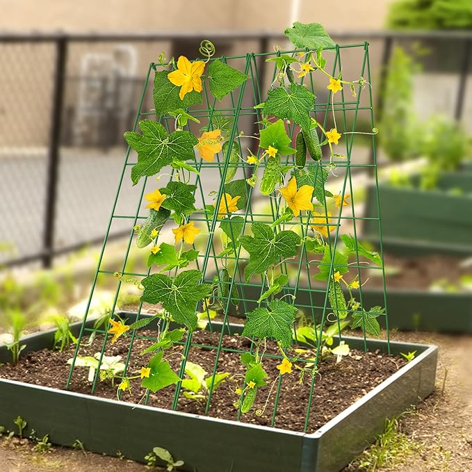 DoCred Cucumber Trellis, 2 Pack Foldable A Frame Trellis for Raised Bed Climbing Plants, Vegetables, Includes Plant Support Clips, Twist Ties, Plastic Ties- Made from PVC-Coated Steel