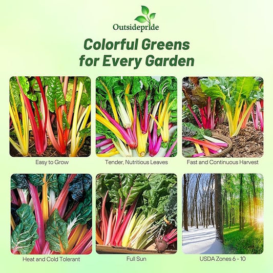 Outsidepride Mix Swiss Chard Seeds for Planting Vegetables & Microgreens - 1000 Pcs Vibrant, Tasty & Highly Nutritious Biennial Vegetable Seeds for Garden Beds, Borders, & Containers