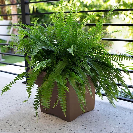 Bloem Veranda Square Deck Box Planter: 18" - Chocolate Brown - Matte Finish, Weatherproof Plastic, Optional Drainage Holes, for Indoor and Outdoor Use, Gardening, 9 Gallon Capacity