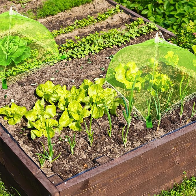 8 Sets Strawberry Plant Support with Mesh Plant Cover,Strawberry Growing Racks Sets with Iron Plant Nails for Garden Strawberry Vegetables