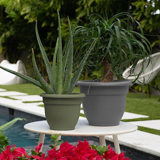 Bloem Ariana Pot Planter: 16" - Living Green - Durable Resin Pot, for Indoor and Outdoor Use, Gardening, Self Watering Disk Included, 6 Gallon Capacity