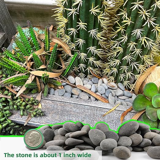 7LB River Rocks Mexican Beach Pebbles for Garden Landscape Plants Paving Grey (1Inch)