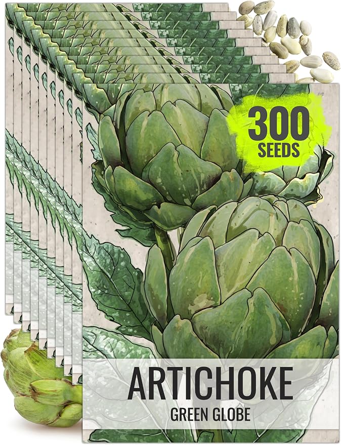 Seed Needs Green Globe Artichoke Seeds to Plant Heirloom & Non-GMO 10 Pack
